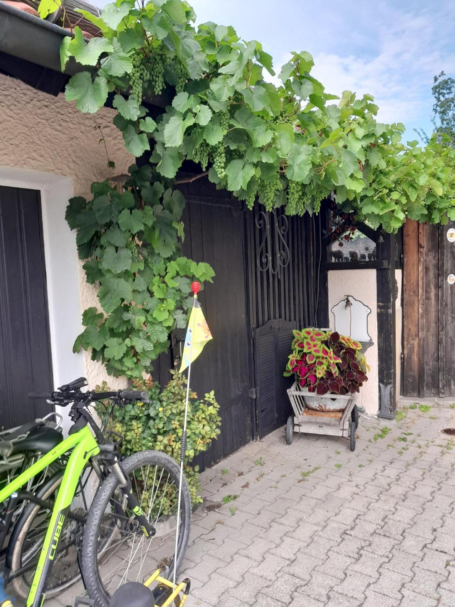 Ferienhaus Resch Laufen Kültér fotó